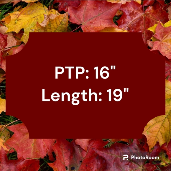 (178) Wilfred Free White Long Sleeve Sweater - Picture 5 of 5